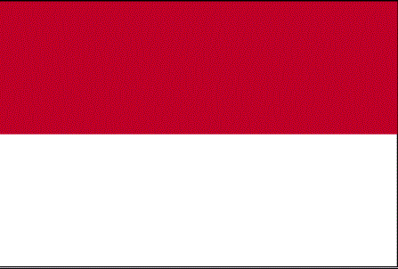 COUNTRY FLAG